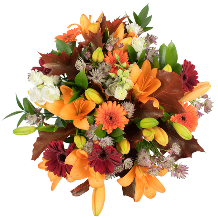 Seen in a close overhead view, this abundant autumn bouquet speaks of harvest evenings and neighbourhood gatherings around Queen's Park. Several large orange Asiatic lilies dominate the scene, their wide, trumpet-shaped petals unfurling with a glossy, satiny finish, surrounded by numerous tight buds in light orange and vivid green, which promise more bloom stages. Cheery orange Gerbera daisies and deeper burgundy-red Gerberas are scattered through the arrangement, their circular, ray-like petals creating playful bursts of colour and rhythm. Soft, ivory Lisianthus with their layered, ruffled petals offer gentle contrast, while clusters of muted purple Astrantia add an intricate, starry texture that threads through the composition like fine embroidery. Interspersed fresh green leaves and slender stems provide a lively structural underpinning, and several substantial, lobed leaves in warm reddish-brown and chestnut tones are artfully placed to echo the feeling of fallen oak leaves on a park bench. The bouquet is expertly balanced and tightly packed, photographed on a pristine white background that allows the oranges, burgundies, ivories, and purples to read vividly in bright, even light; petal veins, pollen-speckled centres, and the crisp edges of autumn foliage are all visible. As a local florist familiar with the area, I imagine this arrangement arriving on a neighbour's doorstep after a visit to Salusbury Road or a walk through Gladstone Park-comforting, seasonal, and handcrafted. Prepared with care by Queen's Park Florist, it makes an elegant seasonal gift for Thanksgiving-style meals, harvest celebrations, or a heartfelt autumn birthday.