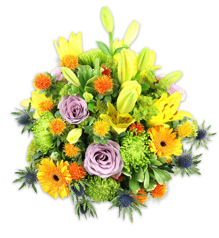 Against a pristine white background, this richly textured bouquet presents a harmonious chorus of warm and cool tones, arranged in a generous, mounded silhouette. Prominent yellow Asiatic lilies reach upward-some unfolded to reveal freckled petals and delicate anthers, others remaining as sleek, chartreuse buds that suggest movement and expectation. Two pale lavender roses sit near the visual centre, their velvet petals unfolding in tight spirals that lend a quiet, classic elegance amid the more exuberant elements. Bright orange Gerbera daisies appear throughout, their broad, flat rays radiating cheerfully from darker centres and punctuating the mass with bold colour. Lively lime-green button chrysanthemums fill and sculpt the interior spaces, producing a textured, almost cushion-like surface that balances the open forms. Interspersed are small spherical orange and golden yellow accent blooms-billy buttons or similar-that introduce whimsical, tactile points. Cool blue-grey sea thistles (Eryngium) rise from the lower planes and edges, their spiky, architectural bracts contrasting the softness of the roses and chrysanthemums and giving the bouquet a contemporary edge. A variety of foliage-large, glossy lily leaves and finer greens-frames and supports the composition, creating shadow and depth while keeping the arrangement feeling fresh. Under gentle lighting the petals and bracts reveal subtle sheens and textures, and the scent profile leans floral and bright, with lilies and roses most prominent. This carefully balanced design would suit celebrations, thank-yous, or a thoughtful sympathy arrangement delivered across Queen's Park and neighbouring Kensal Rise; it reads as both festive and composed, the work of experienced hands mindful of local tastes and seasonal quality.